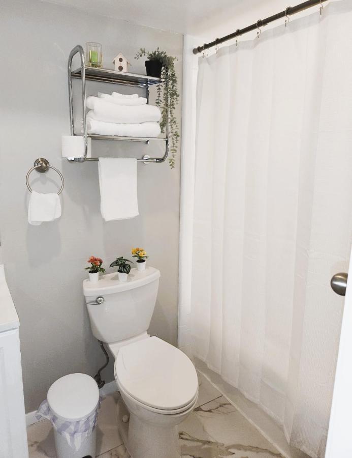 Adorable Mini Suite In Tampa Exterior foto